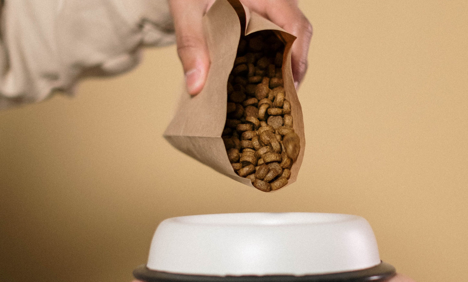Selecting the Perfect Dog Food