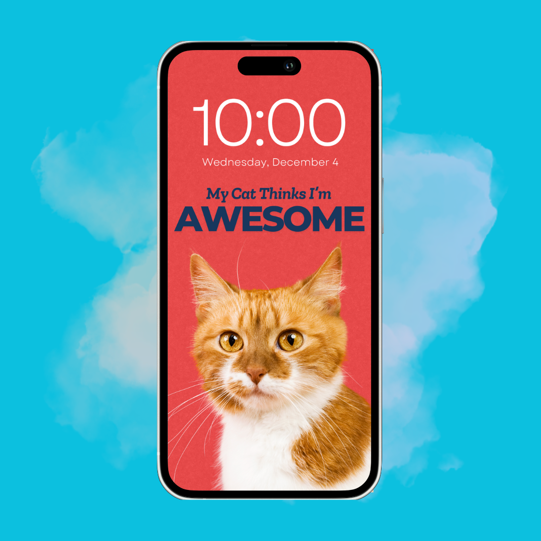 My Cat Thinks I'm Awesome - Custom Pet Phone Screen Saver 6 Color Bundle - Digital Download