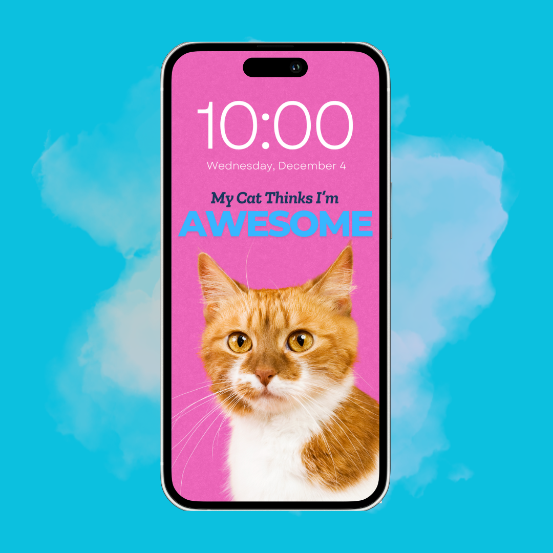 My Cat Thinks I'm Awesome - Custom Pet Phone Screen Saver 6 Color Bundle - Digital Download