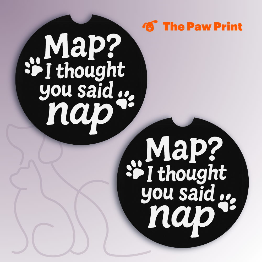 Thought You Said Nap Car Coasters
