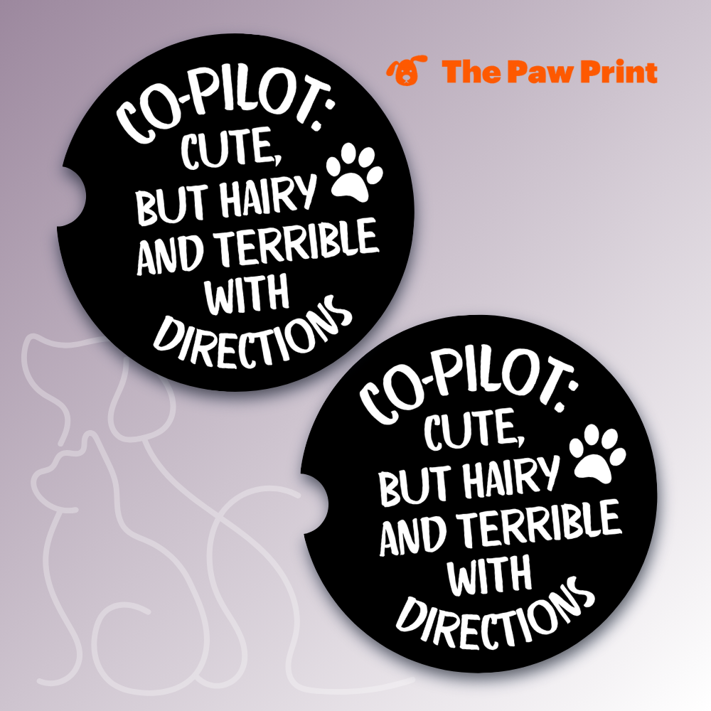 Terrible With Directions Car Coasters