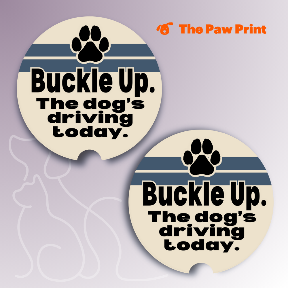 Buckle Up Car Coasters
