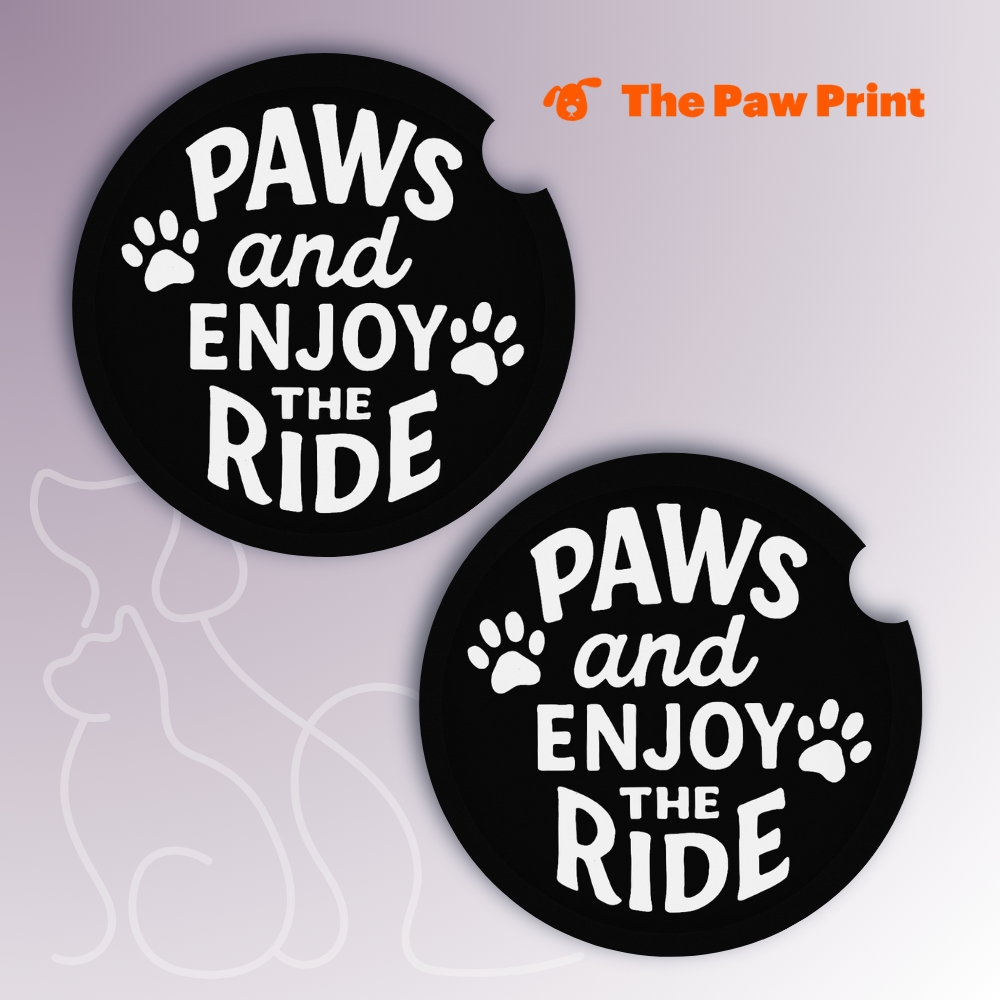 Enjoy the Ride Car Coasters