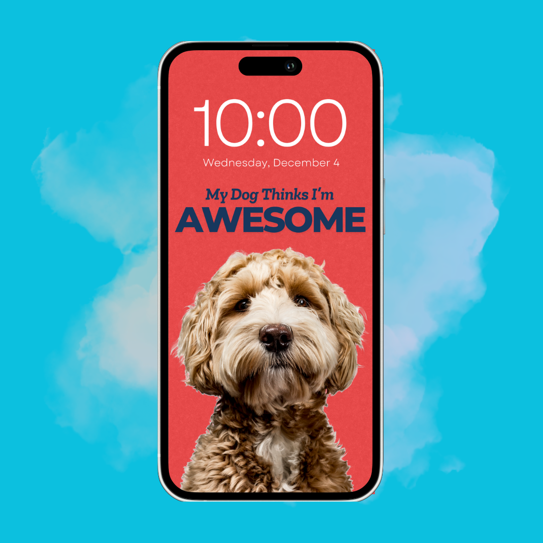 My Dog Thinks I'm Awesome - Custom Pet Phone Screen Saver 6 Color Bundle - Digital Download
