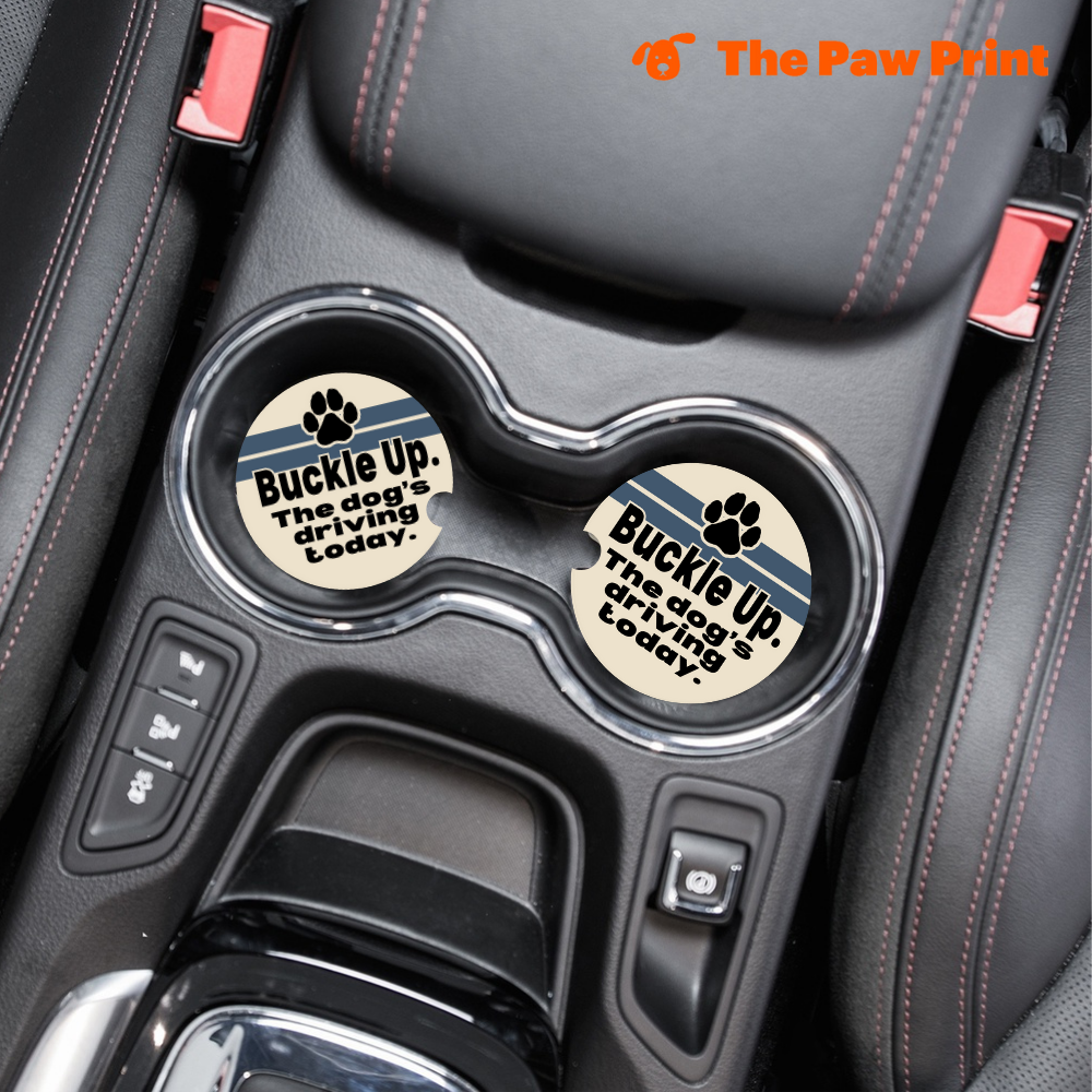Buckle Up Car Coasters
