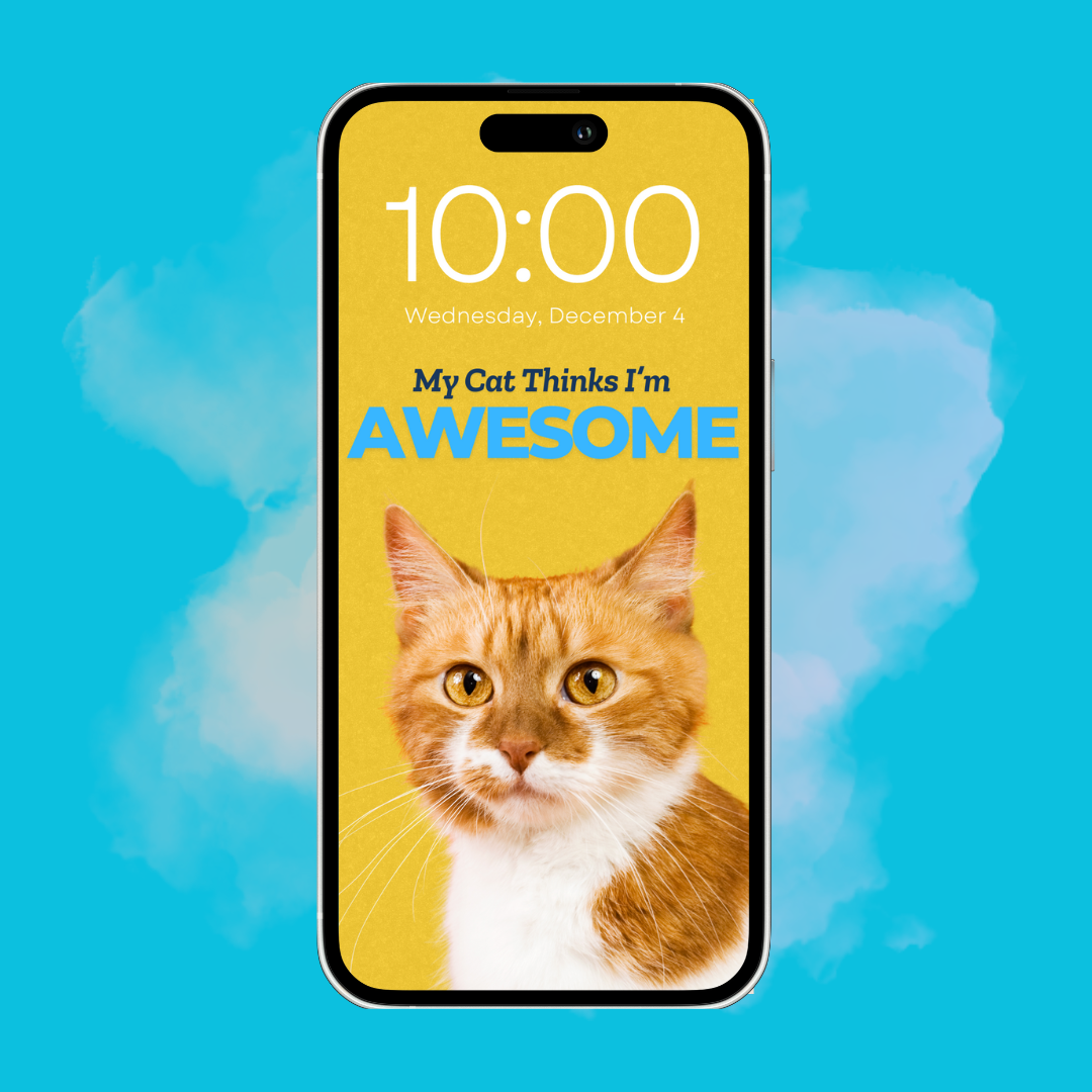 My Cat Thinks I'm Awesome - Custom Pet Phone Screen Saver 6 Color Bundle - Digital Download