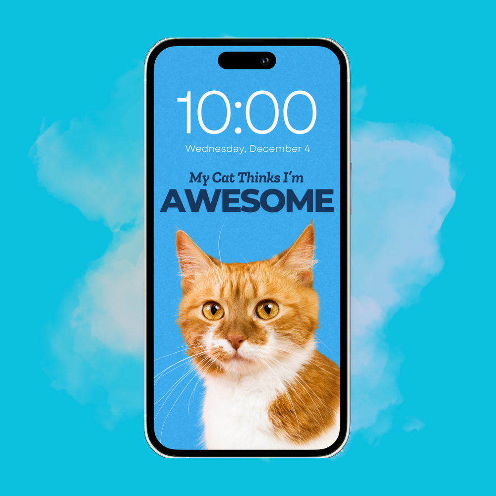 My Cat Thinks I'm Awesome - Custom Pet Phone Screen Saver 6 Color Bundle - Digital Download