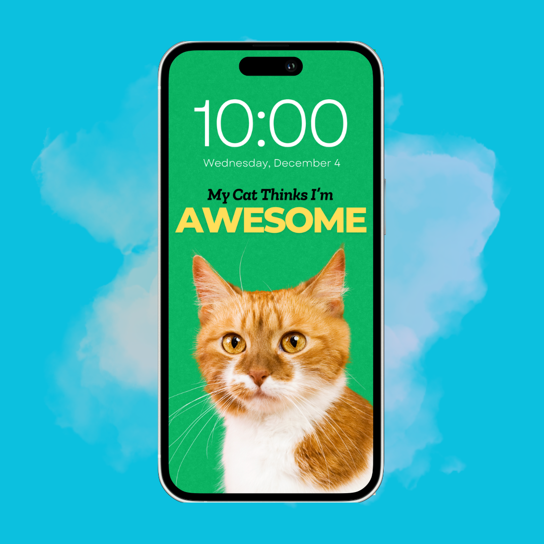 My Cat Thinks I'm Awesome - Custom Pet Phone Screen Saver 6 Color Bundle - Digital Download