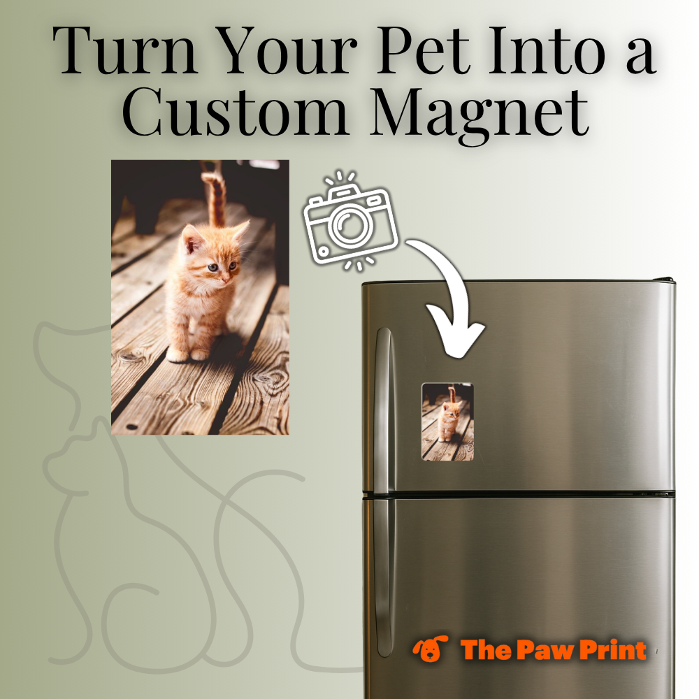 Custom Personalized 3" x 4" Refrigerator Magnet