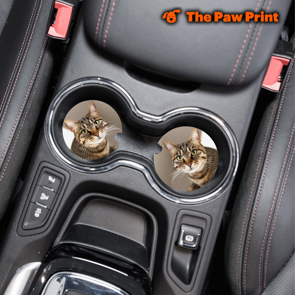 Custom Personalized Neoprene Car Coasters (2 Piece Set)