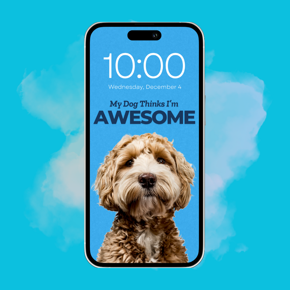 My Dog Thinks I'm Awesome - Custom Pet Phone Screen Saver 6 Color Bundle - Digital Download