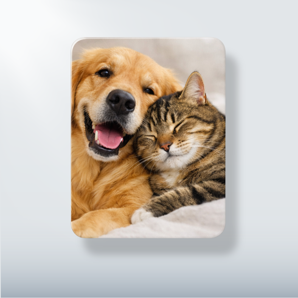 Custom Personalized 3" x 4" Refrigerator Magnet