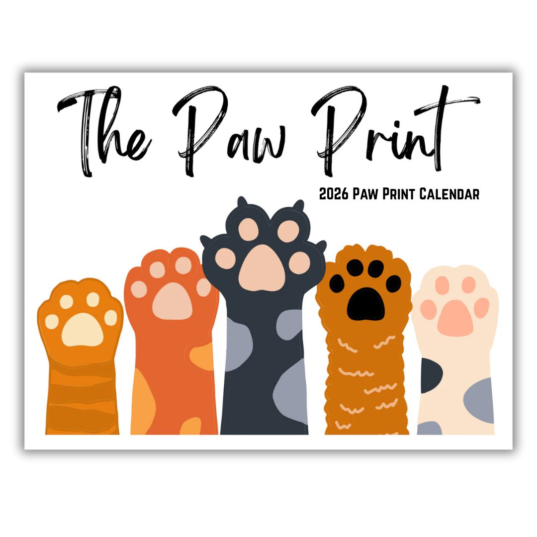 🐾 2026 Paw Print Cartoon Calendar 🗓️