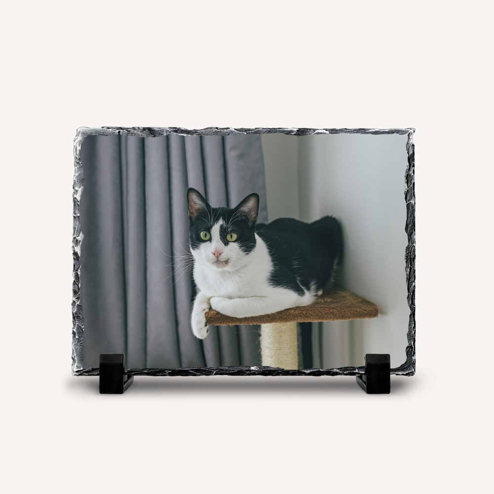 Decorative Photo Slate