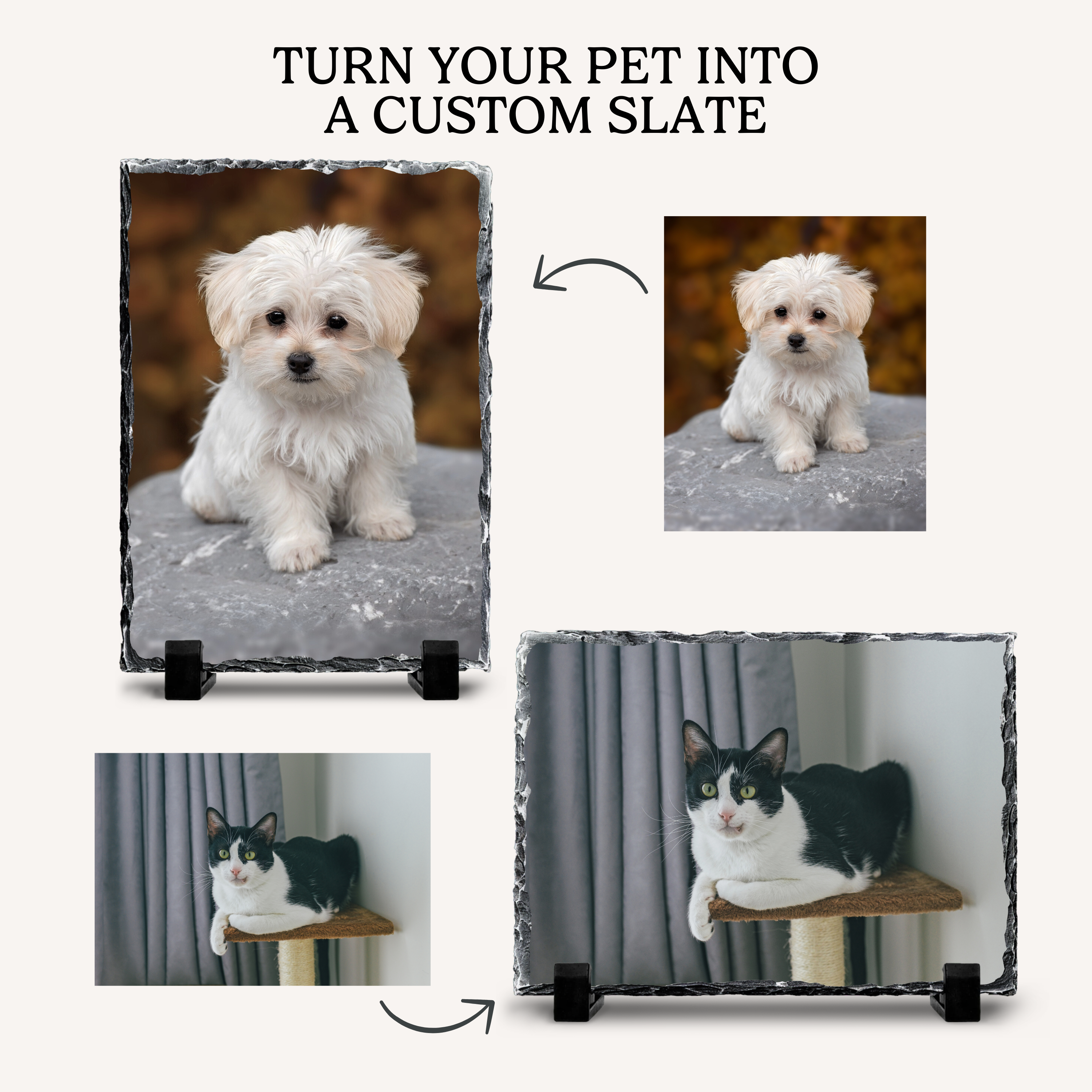 Decorative Photo Slate