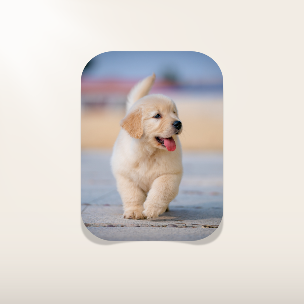 4" Custom Photo Sticker