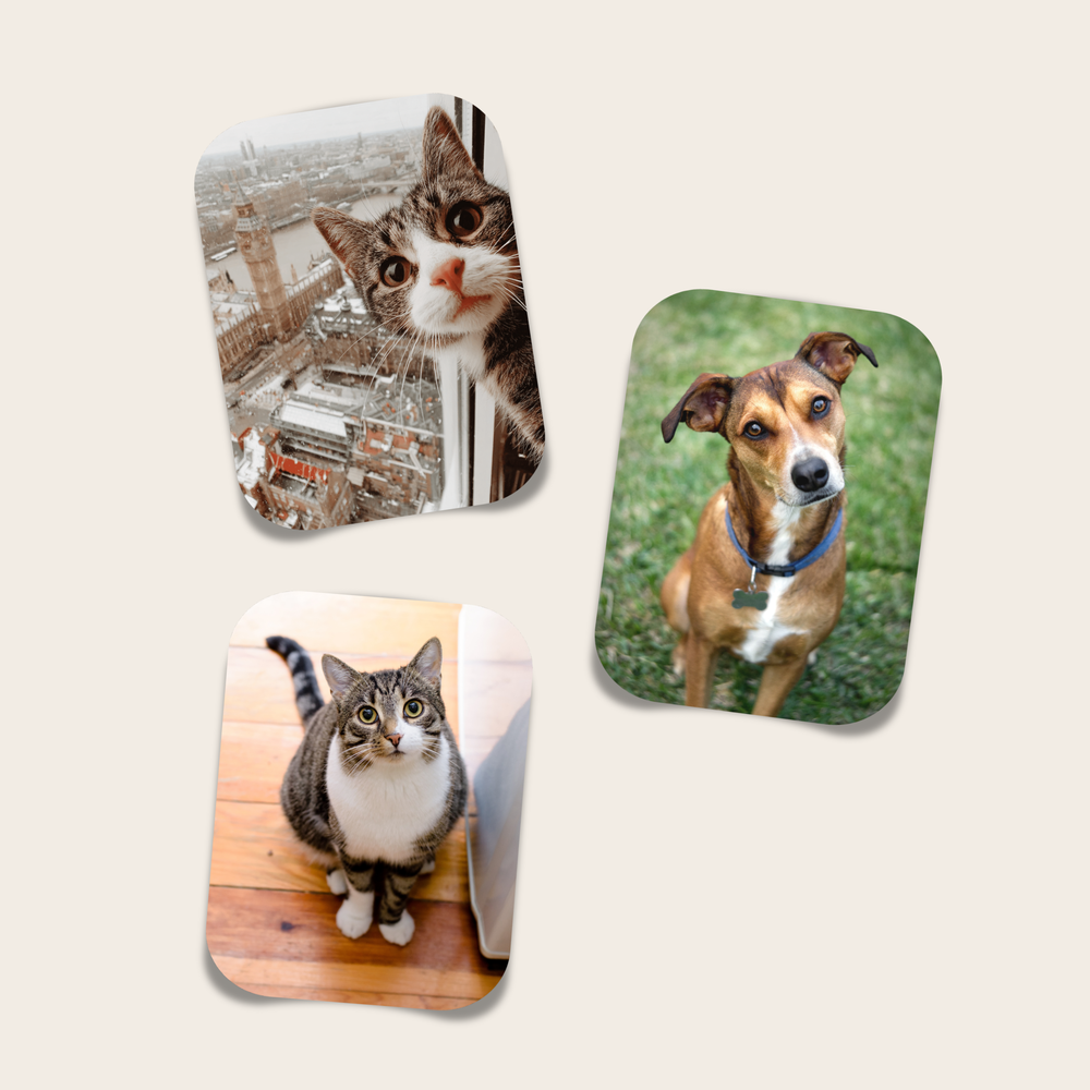 4" Custom Photo Sticker