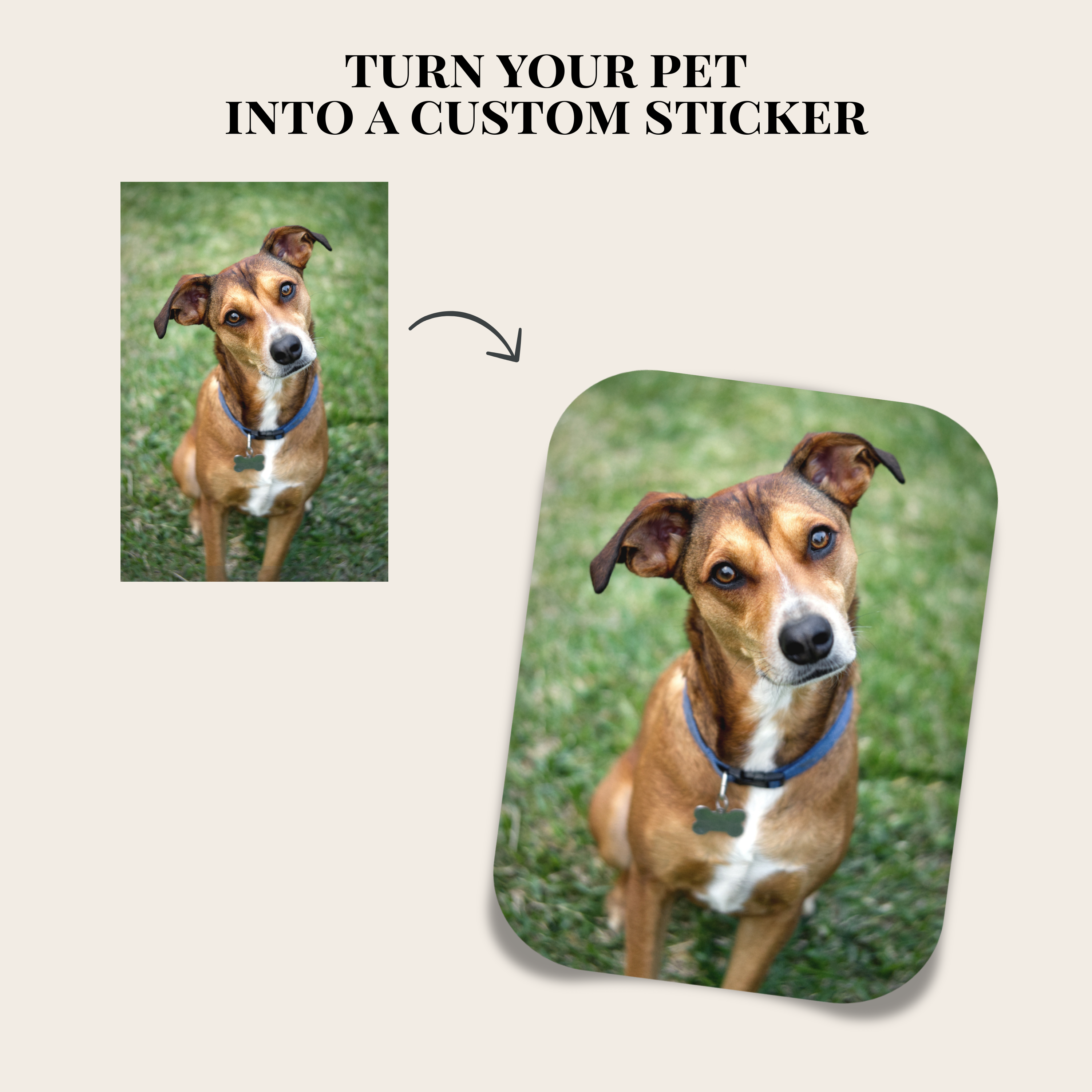 4" Custom Photo Sticker