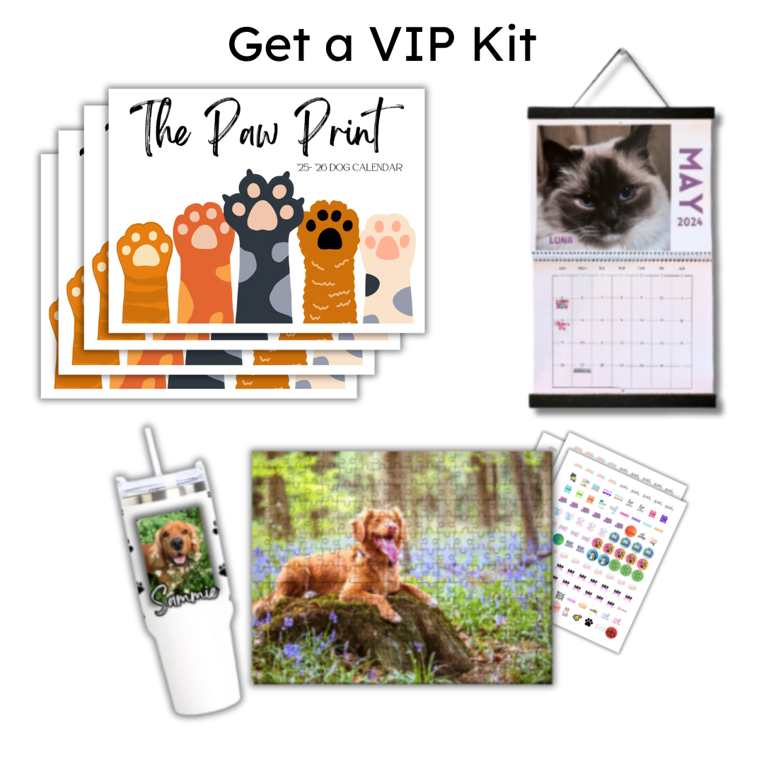 🐾 September 2025 - August 2026 Paw Print Dog Calendar 🗓️