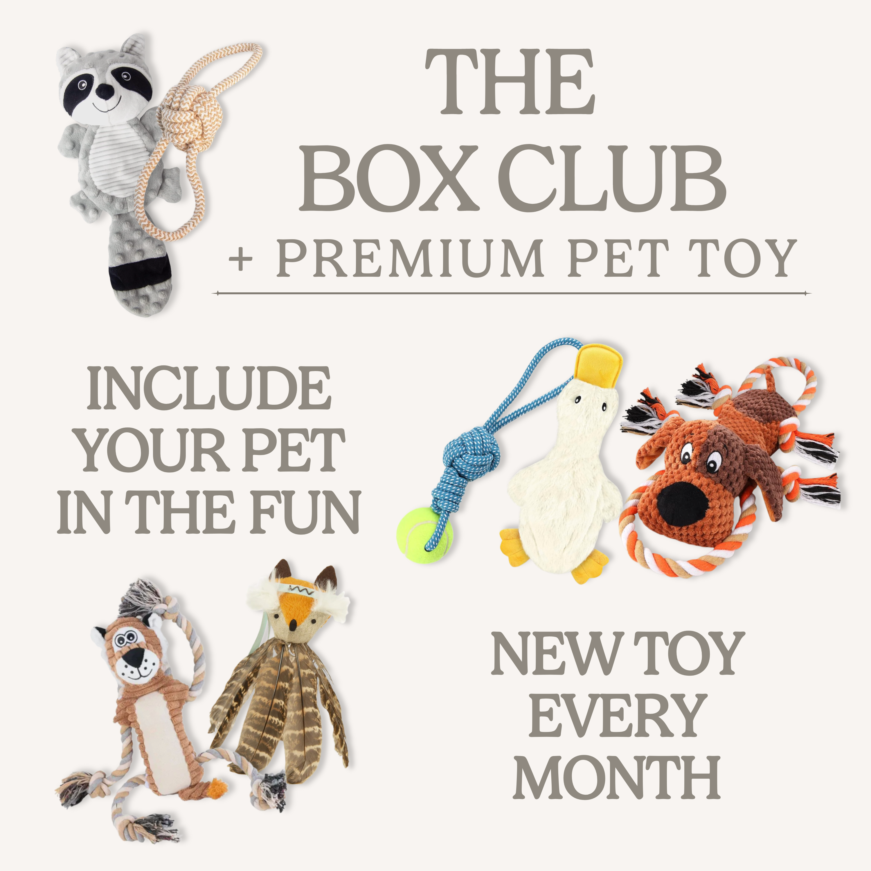 The Paw Print Box Club