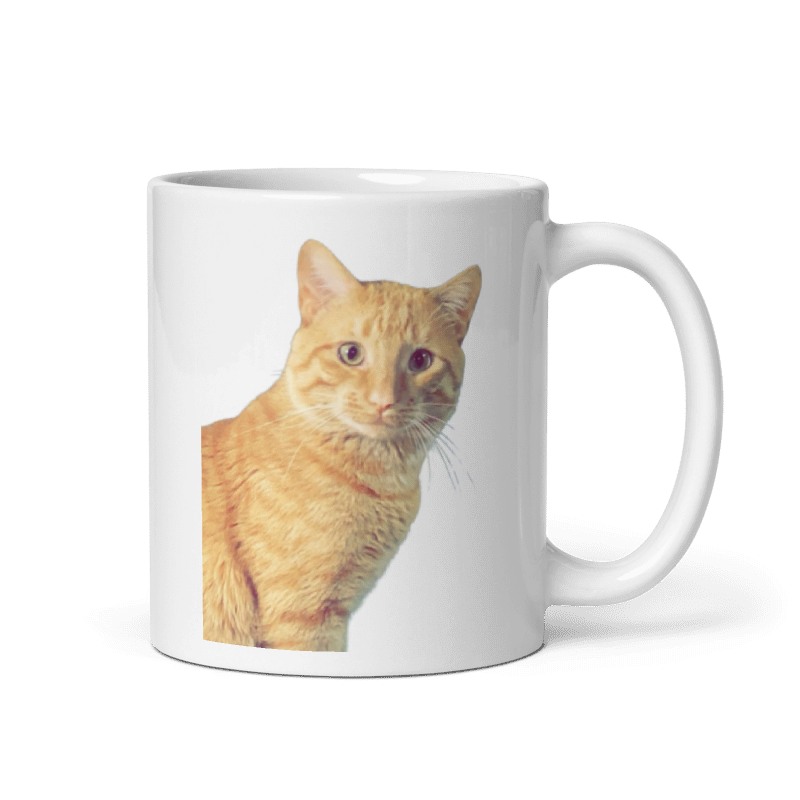 Custom Personalized White Glossy Pet Mug (11oz)