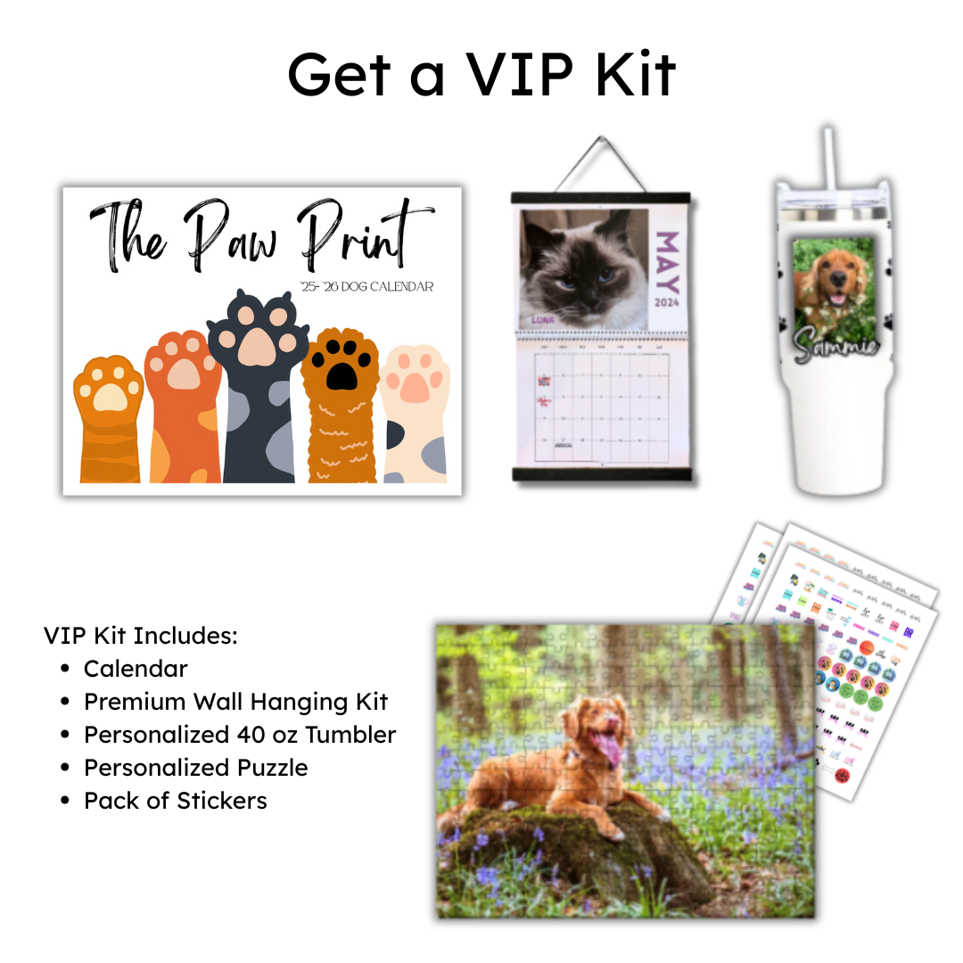 🐾 September 2025 - August 2026 Paw Print Dog Calendar 🗓️