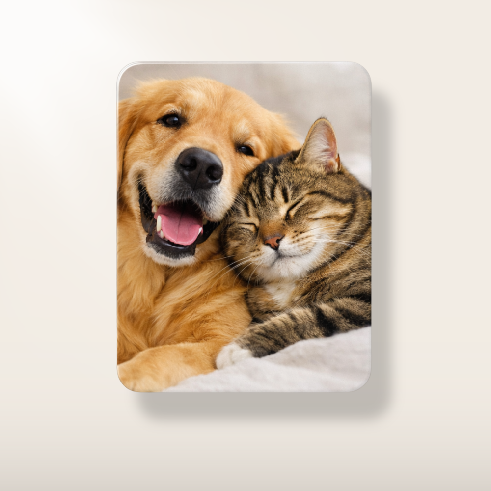 Custom Personalized 3" x 4" Refrigerator Magnet