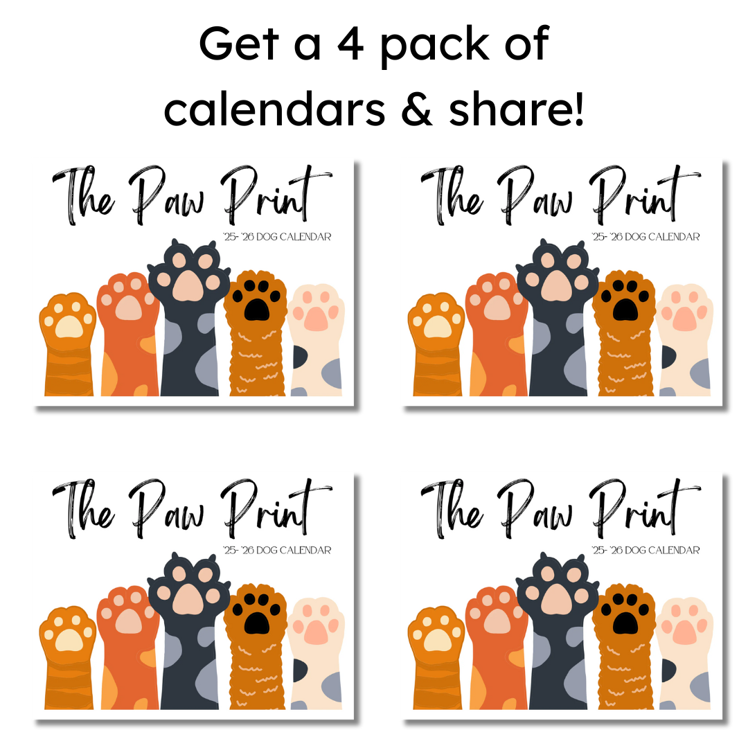 🐾 September 2025 - August 2026 Paw Print Dog Calendar 🗓️