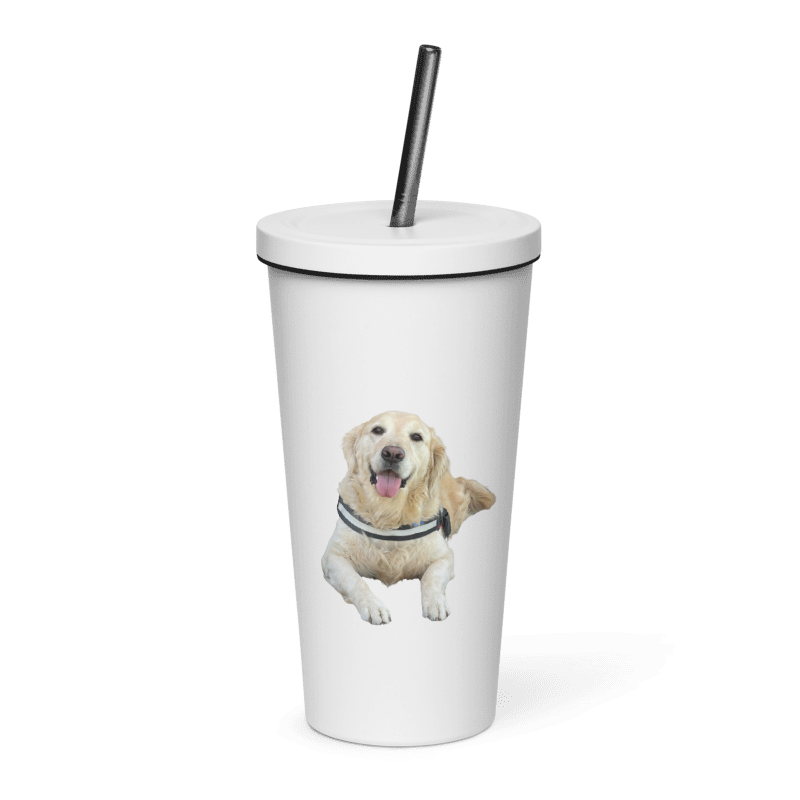 Custom Personalized Insulated Tumbler With A Straw