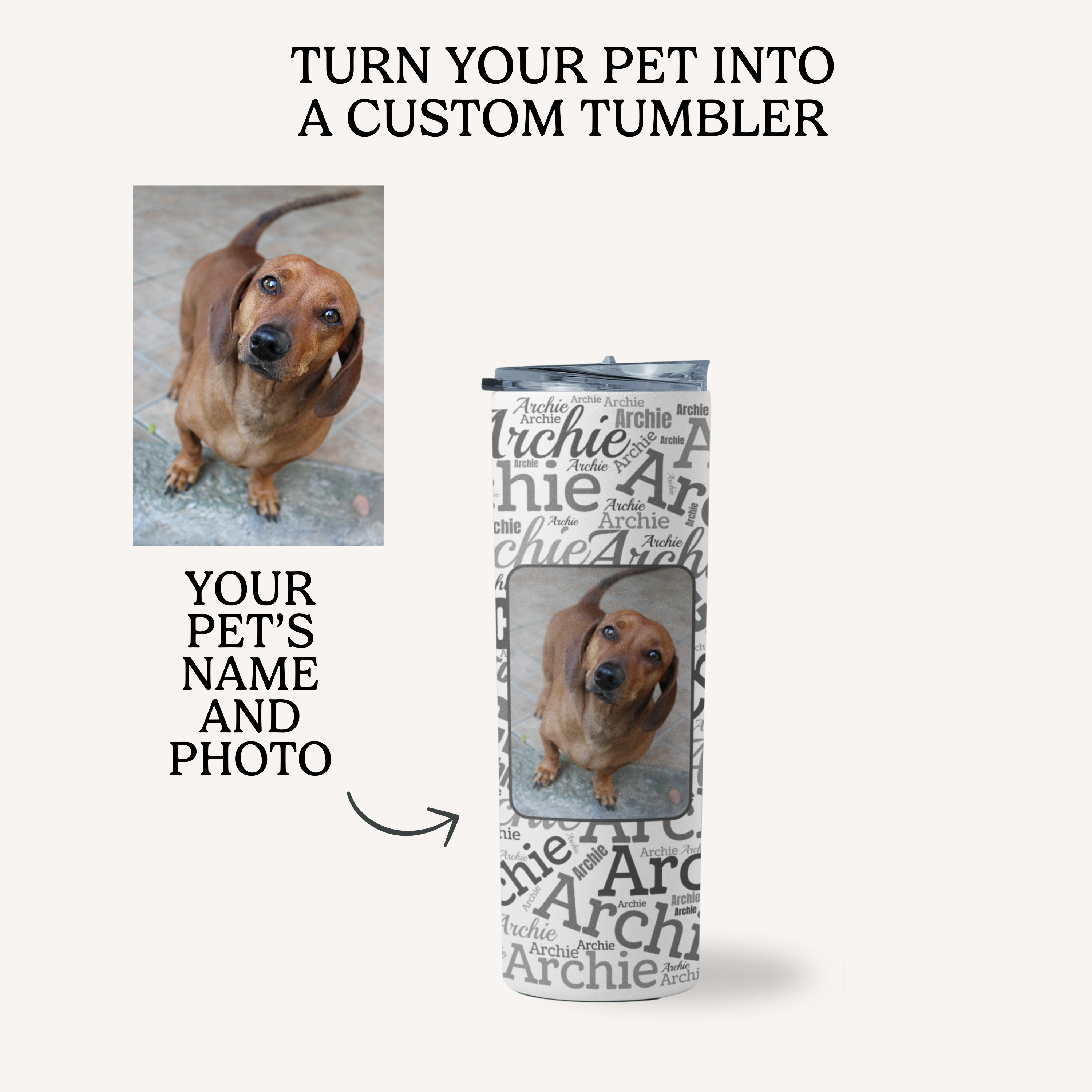 Signature Everyday 20 oz Tumbler