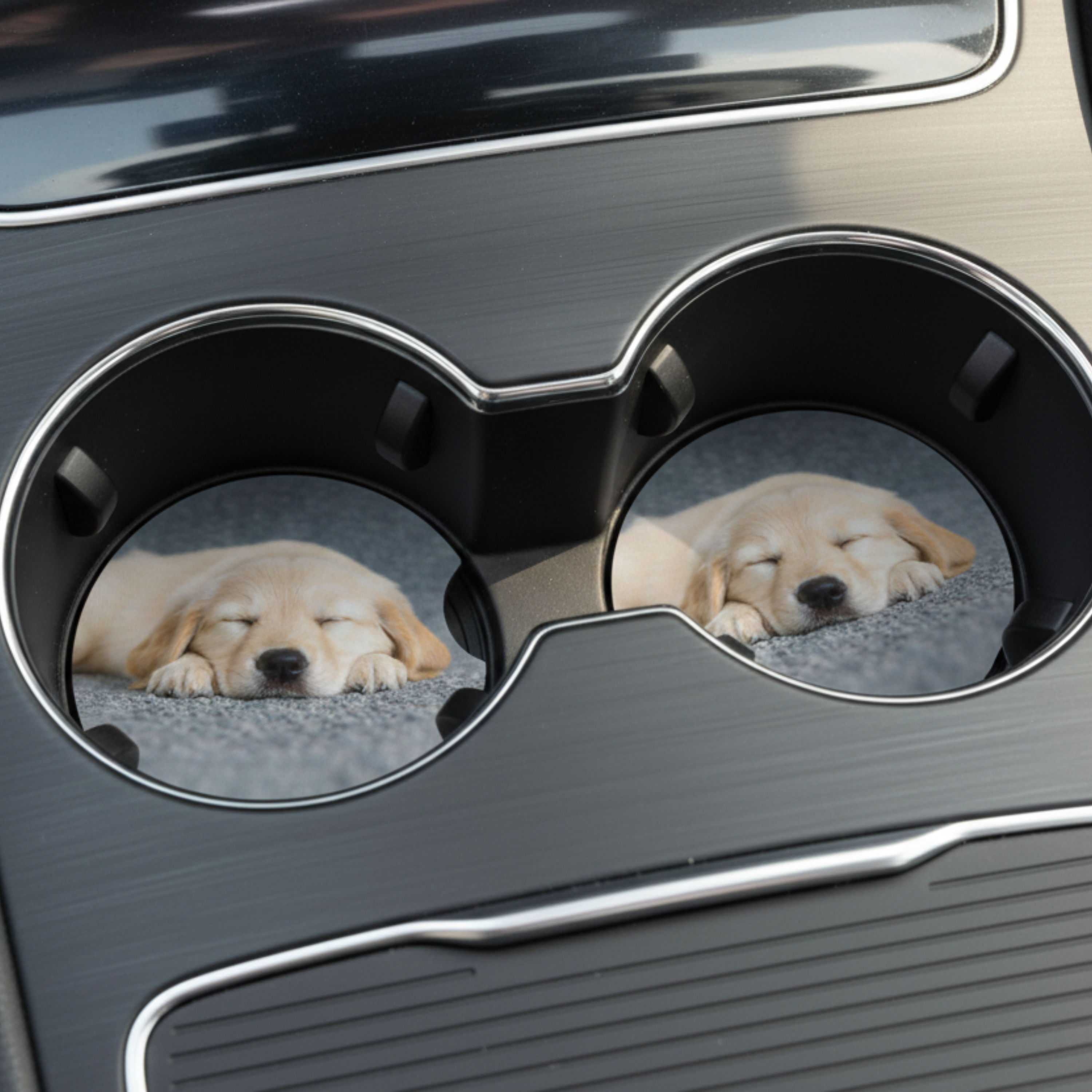 2 Pack Pet Photo Neoprene Car Coasters