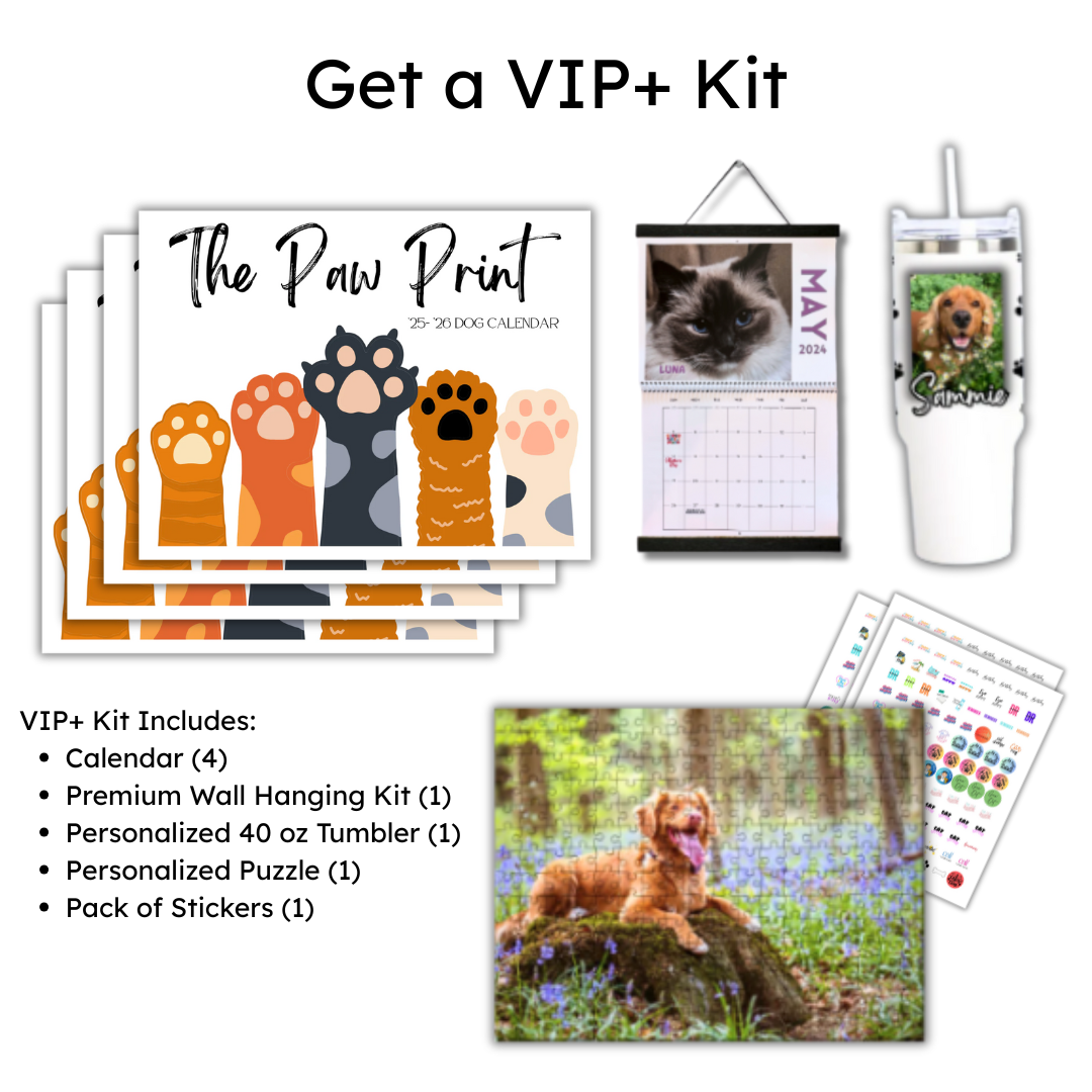🐾 September 2025 - August 2026 Paw Print Dog Calendar 🗓️