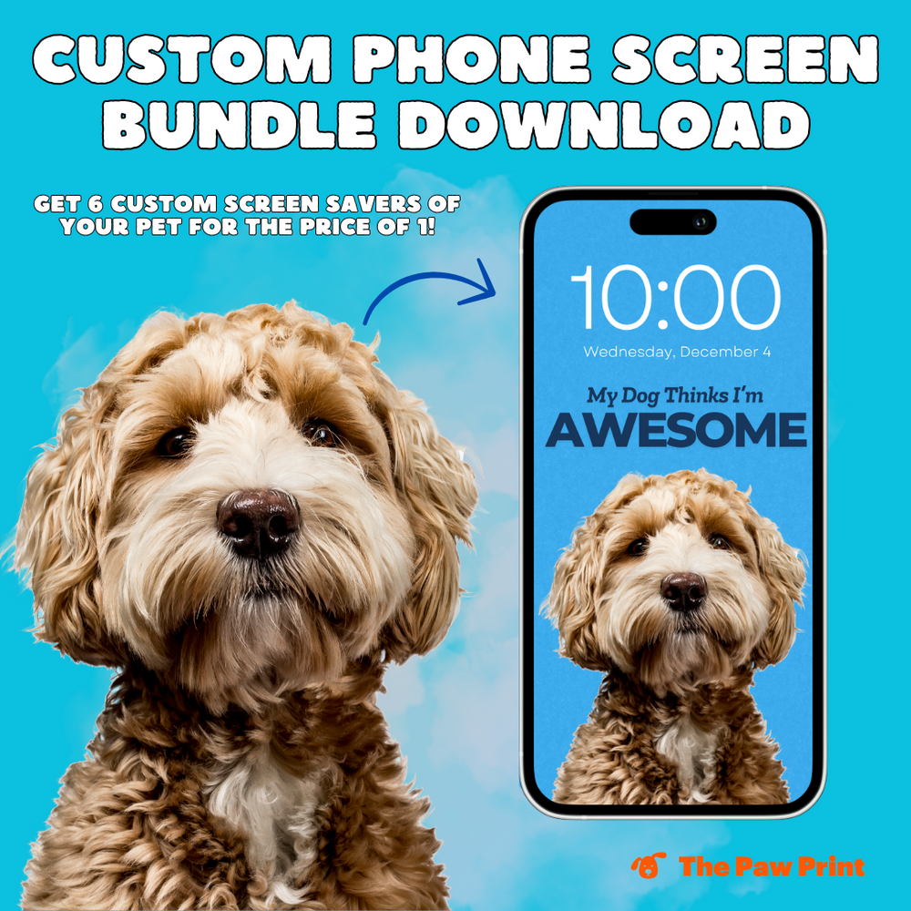 My Dog Thinks I'm Awesome - Custom Pet Phone Screen Saver 6 Color Bundle - Digital Download