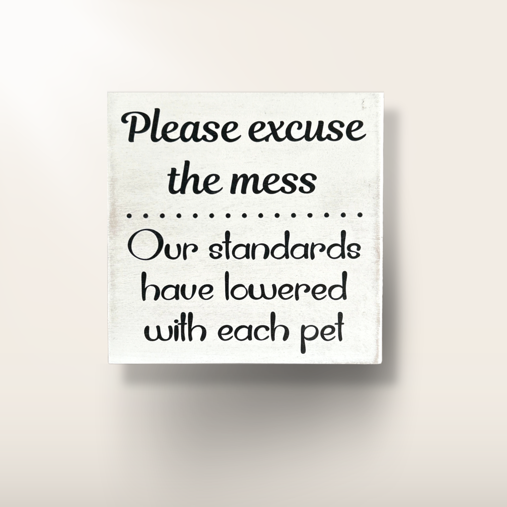 Please Excuse the Mess Funny Block Decor