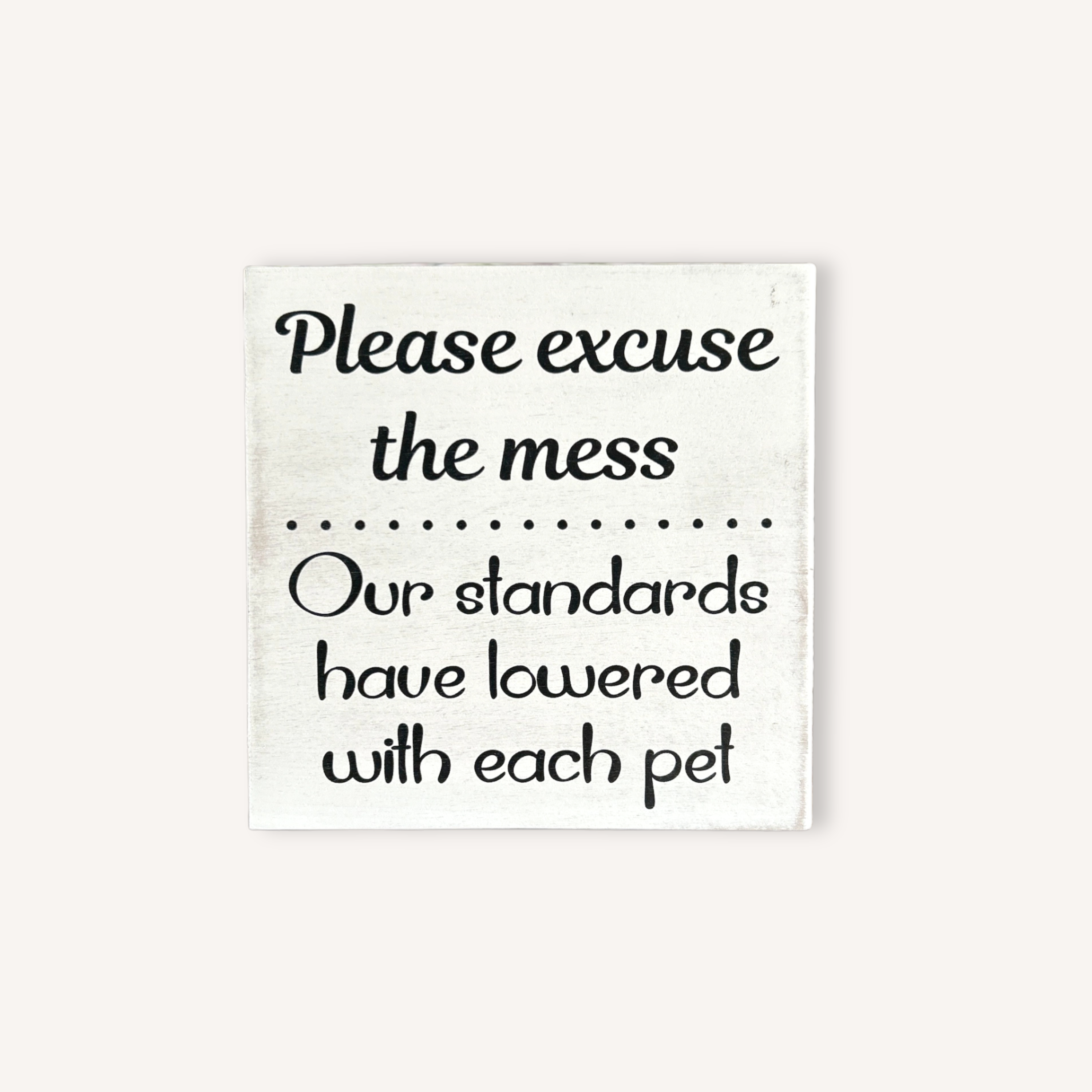 Please Excuse the Mess Block Decor