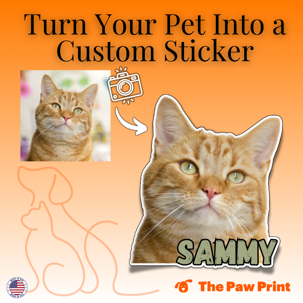 4" Custom Photo Sticker