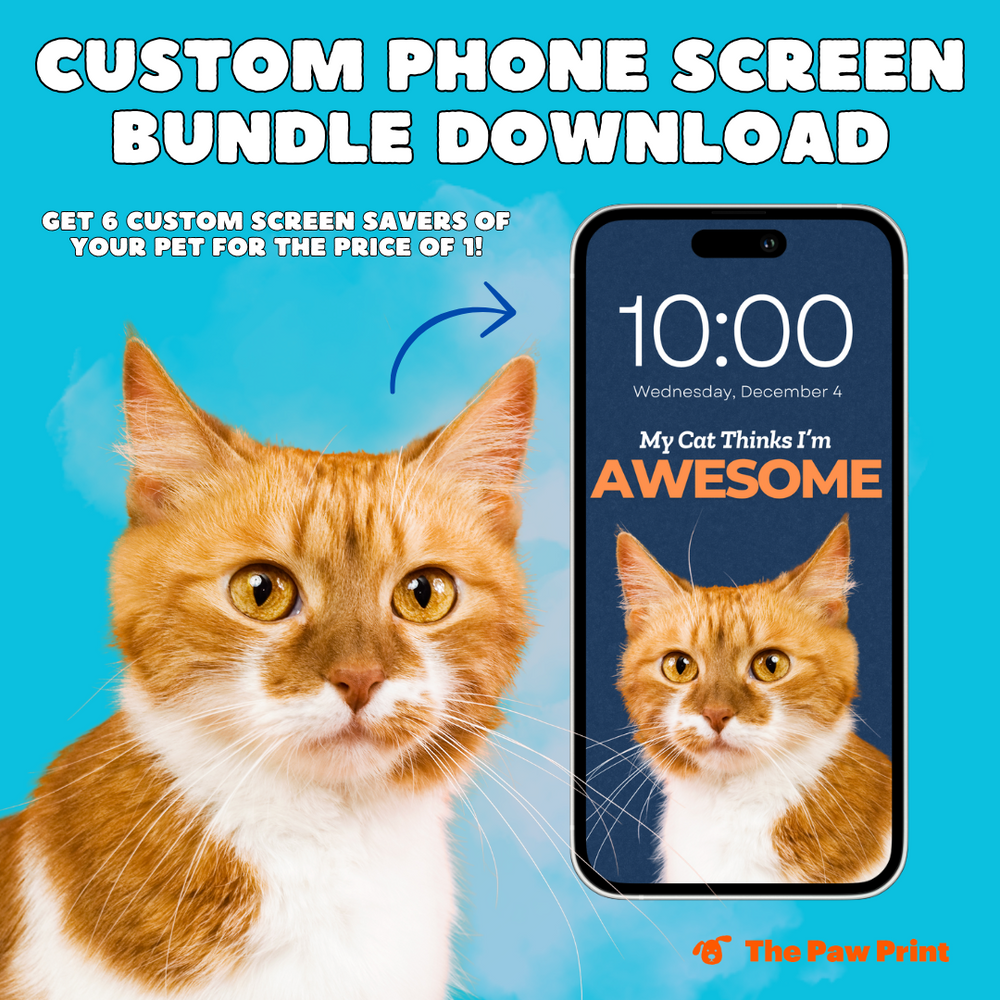 My Cat Thinks I'm Awesome - Custom Pet Phone Screen Saver 6 Color Bundle - Digital Download