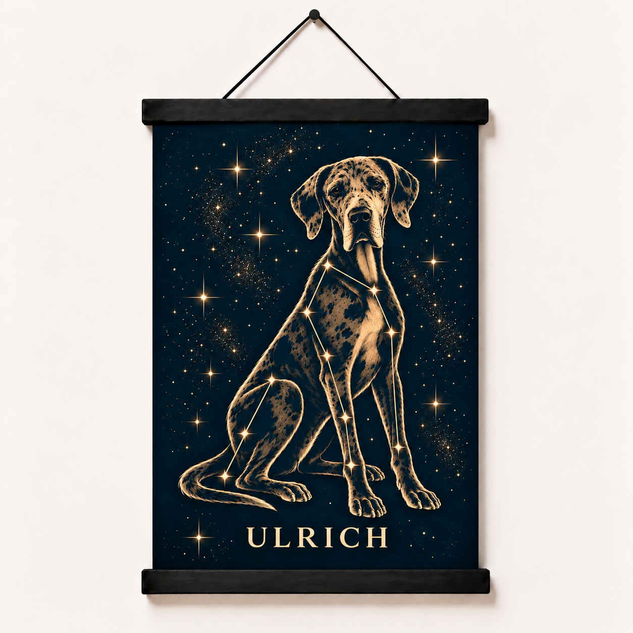 Our Stars Aligned Canvas and Wall Mount