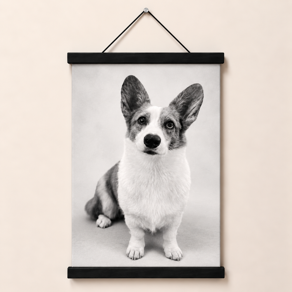 Studio No.1 Canvas and Wall Mount