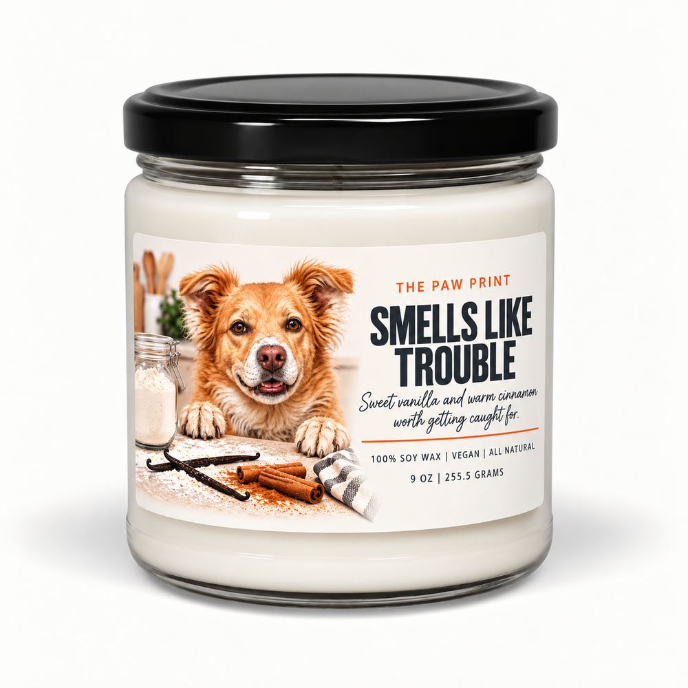 The Candle Collection - Cinnamon Vanilla