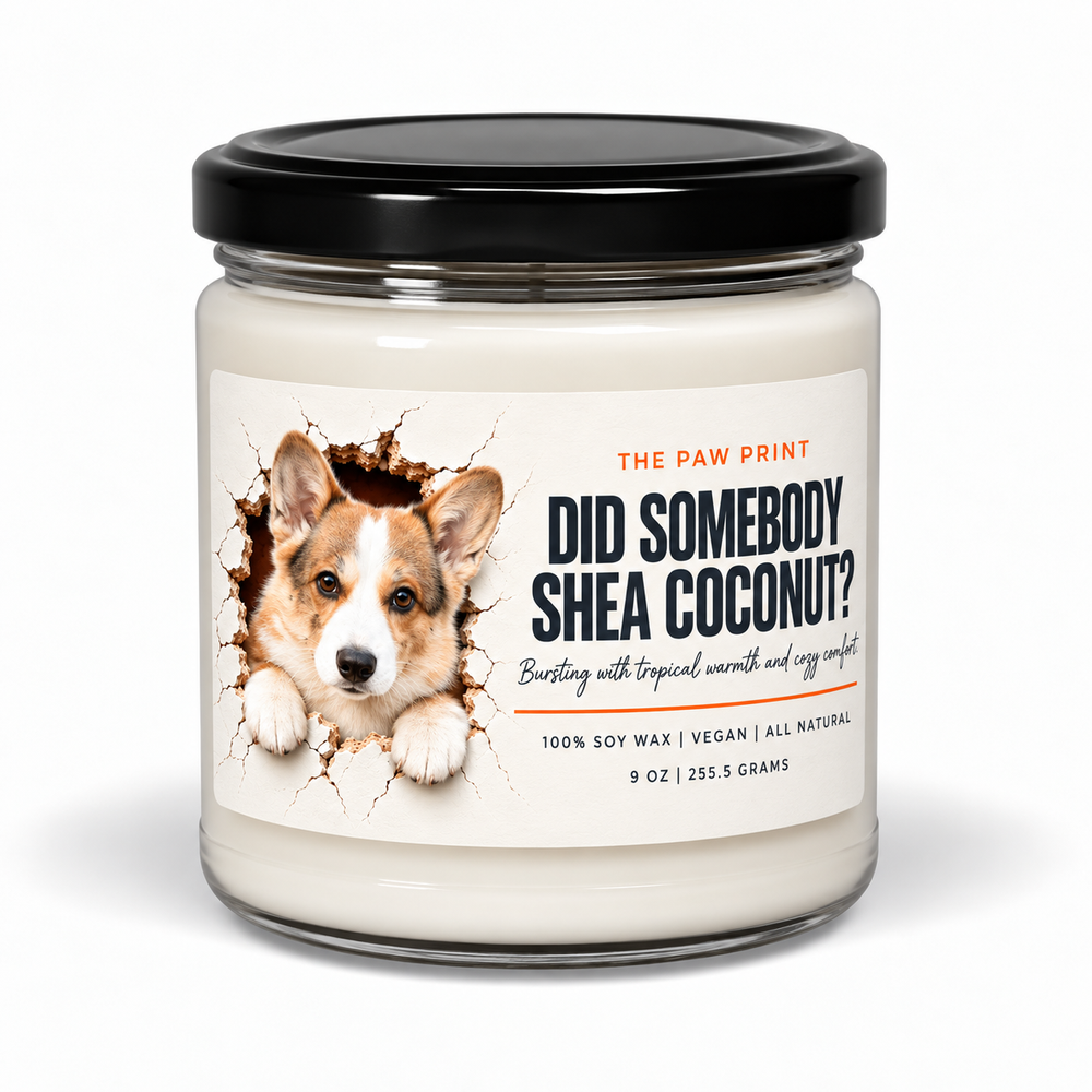 The Candle Collection - Shea Coconut