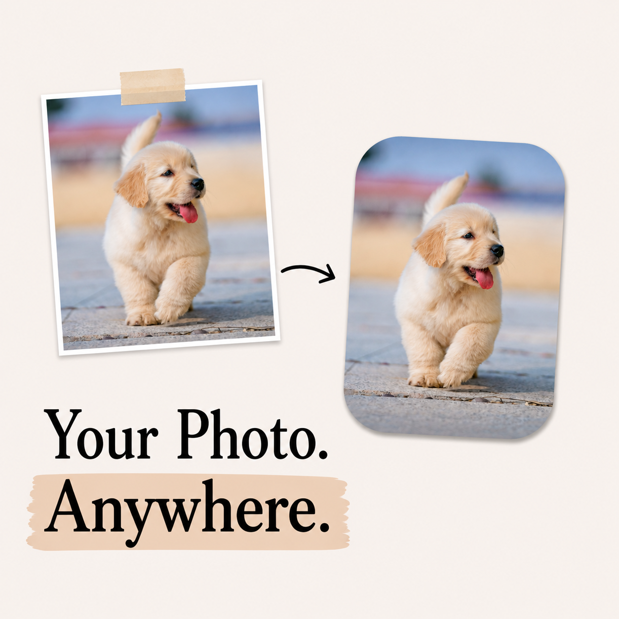 Premium Vinyl 3"x4" Photo Sticker