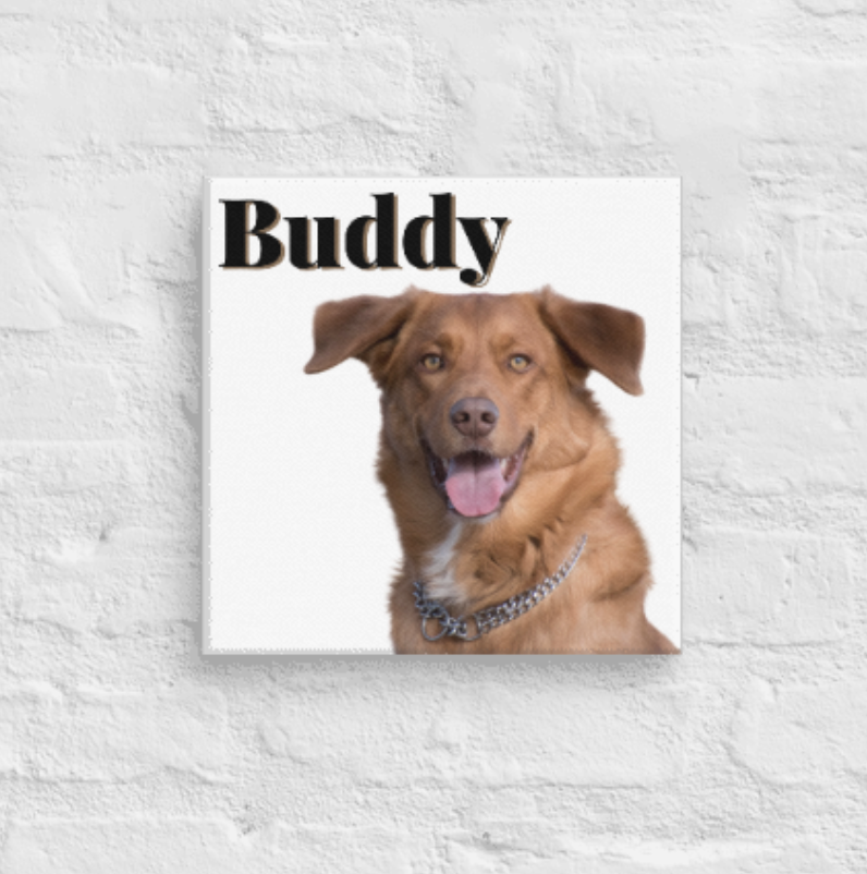 Custom Printed Pet 10