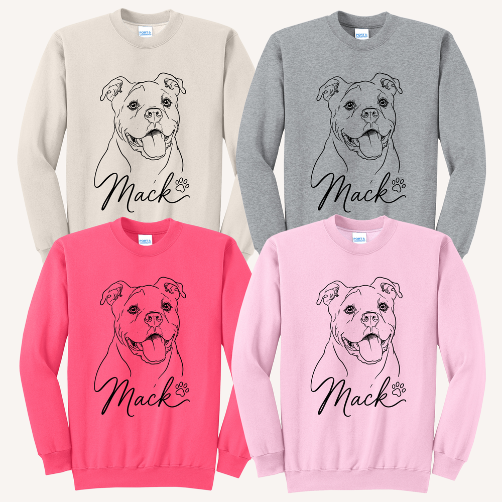 Drawn Together Collection Sweatshirt