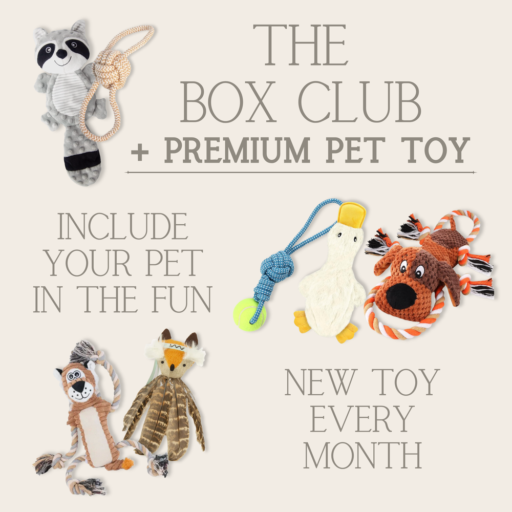 The Paw Print Box Club