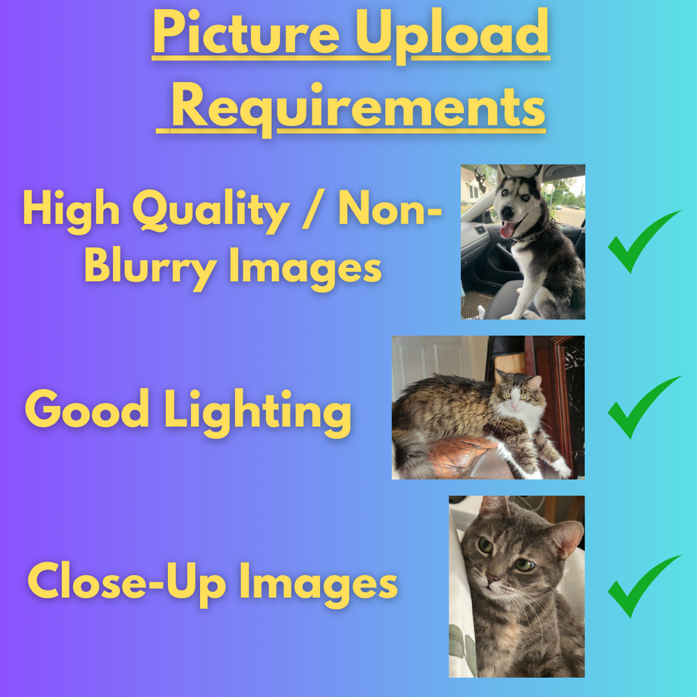 Shop The Paw Print shop-the-paw-print