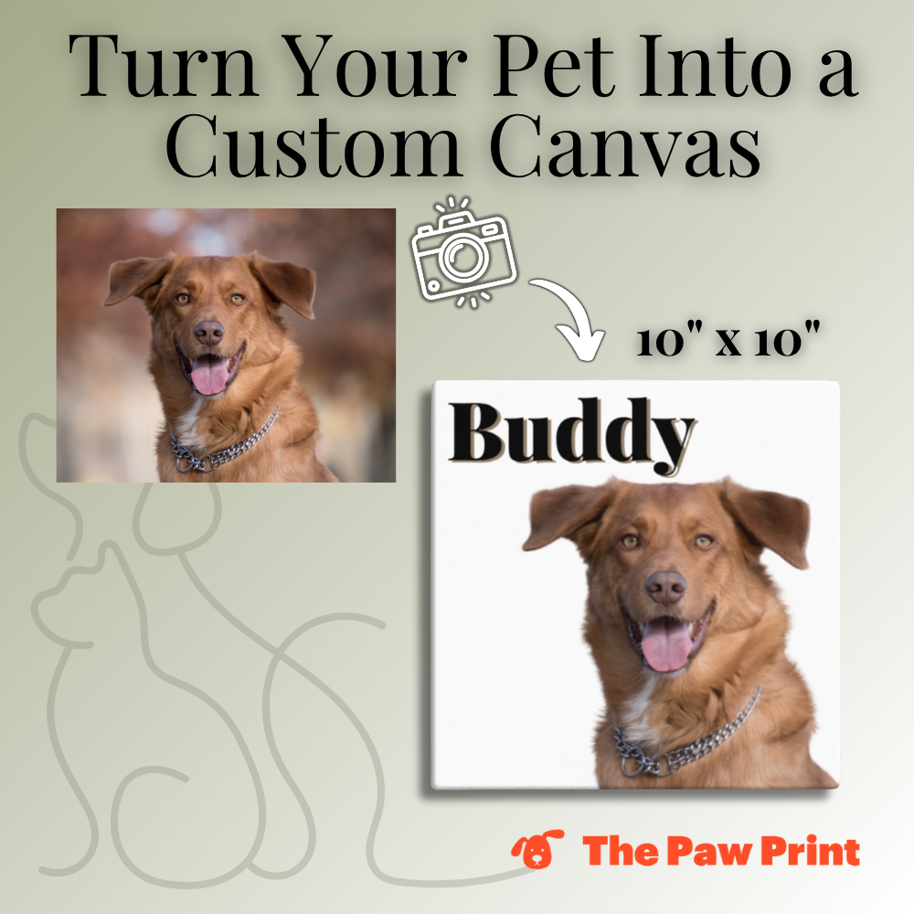 Custom Printed Pet 10
