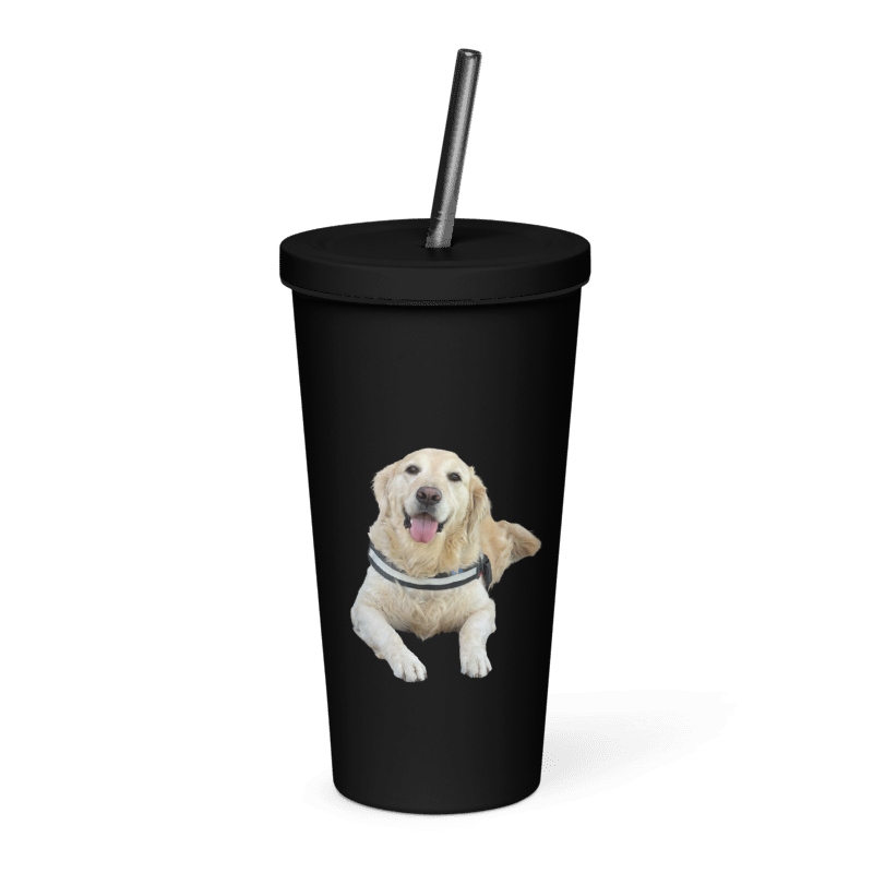 Custom Personalized Insulated Tumbler With A Straw