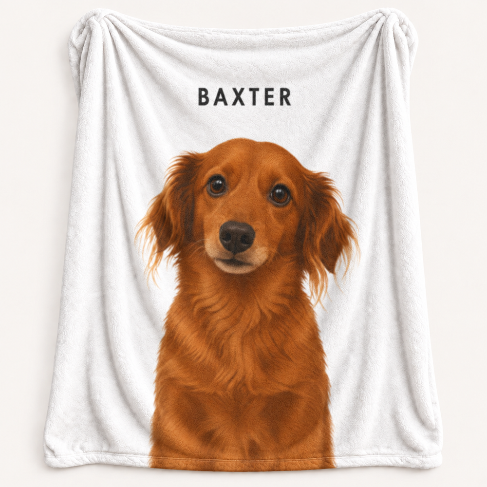 Contemporary Collection Plush Blanket