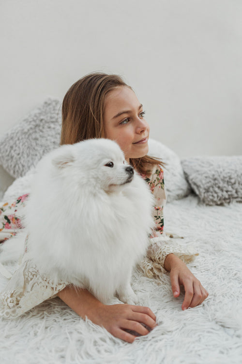 Dog Review Image